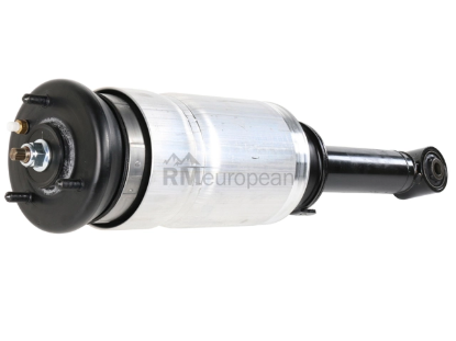 Land Rover Air Suspension Strut BWI LR016415