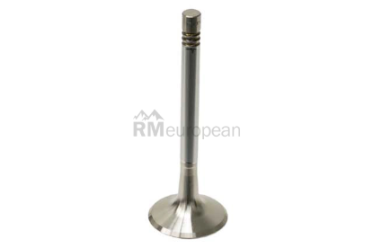 Porsche Exhaust Valve TRW 91110541550