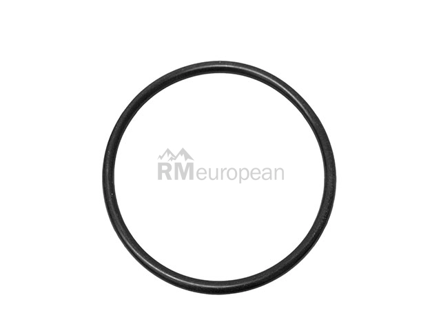 Jaguar Thermostat Seal Eurospare EAC8999