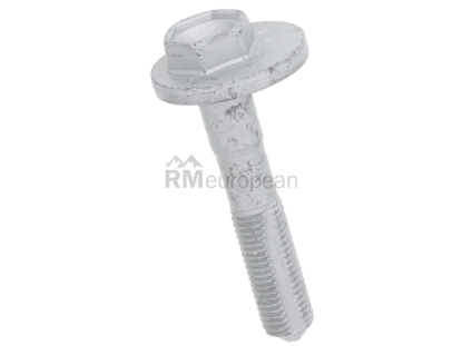 Eccentric Bolt VNE WHT002053