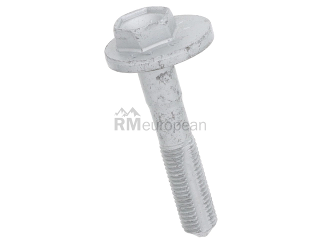 Eccentric Bolt VNE WHT002053
