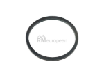 BMW O-Ring ATE 34314650345