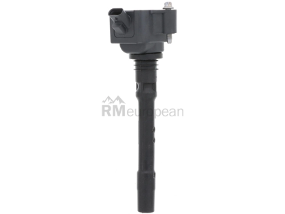 BMW Ignition Coil Eldor 12138692611