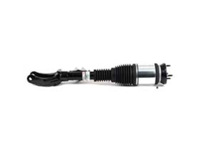 Mercedes Air Suspension Strut Arnott Industries 1663205366