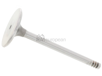 BMW Intake Valve TRW 11341267721