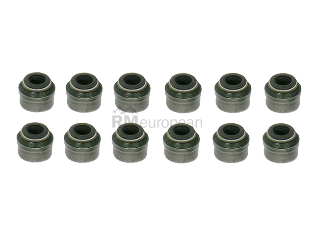 BMW Valve Stem Seal Kit Victor Reinz 11349064457
