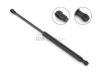 BMW Hatch Shock Stabilus 51243414711