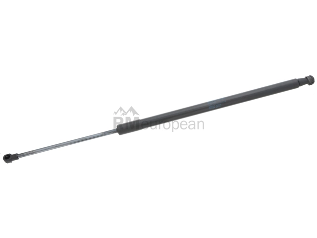 Hatch Shock Stabilus 580307