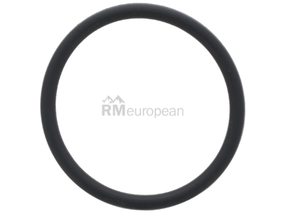BMW Coolant Pipe O-Ring Genuine BMW 11538674931