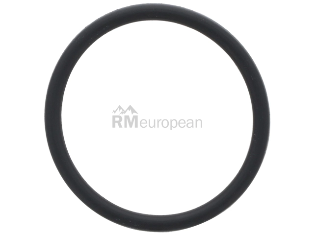 BMW Coolant Pipe O-Ring Genuine BMW 11538674931
