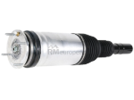 Land Rover Strut BWI LR087083