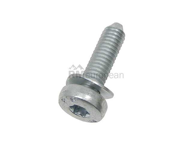 Transmission Pan Bolt ZF 0736300725