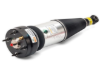 Jaguar Shock Absorber Arnott Industries C2C41341