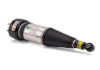 Jaguar Shock Absorber Arnott Industries C2C41341