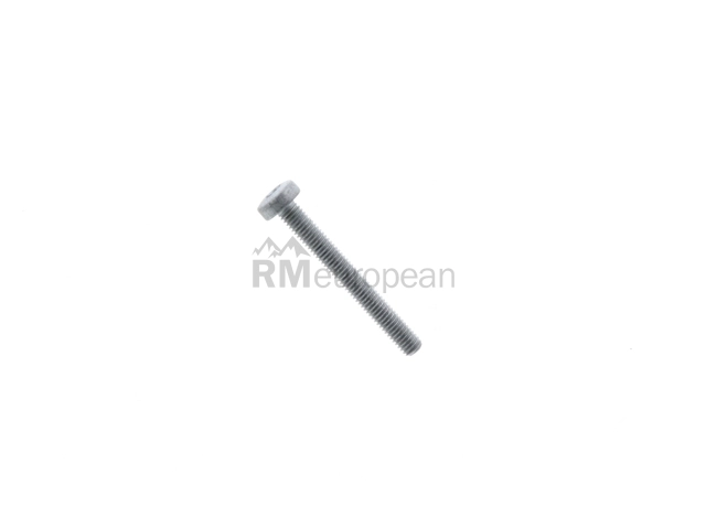 Porsche Throttle Housing Bolt Genuine Porsche N10470703