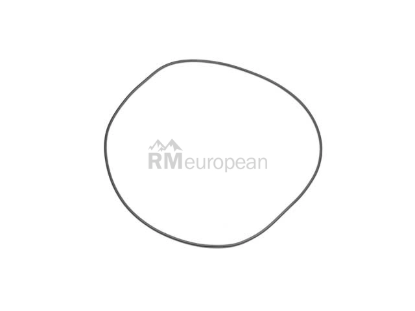 Volvo Transmission Pump O-Ring Domestic Aftermarket 1239673