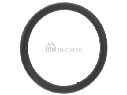Land Rover Coolant Flange O-Ring Britpart 4359953