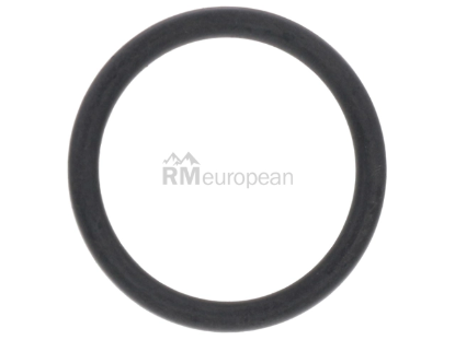 Porsche Water Hose O-Ring Genuine Porsche 99610680105