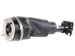 Land Rover Shock Absorber BWI RNB000740