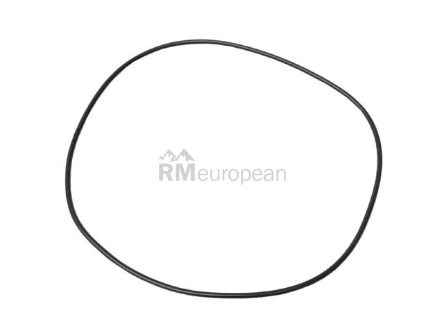 O-Ring ZF 0734313178