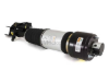 Mercedes Shock Absorber Arnott Industries 2113205338