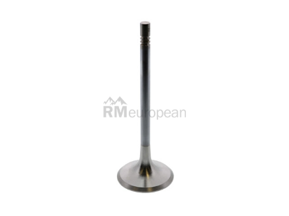 Porsche Intake Valve Intervalves 99610511172