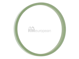 VW-Audi Intake Manifold Gasket Elring Klinger 036129717E