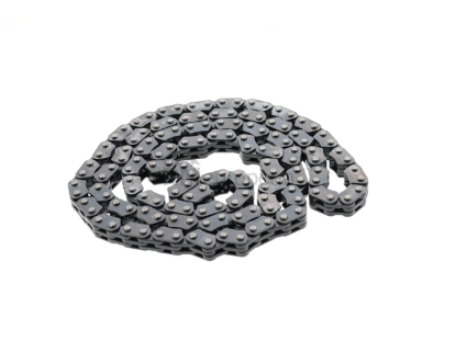 Jaguar Timing Chain INA C2Z22078