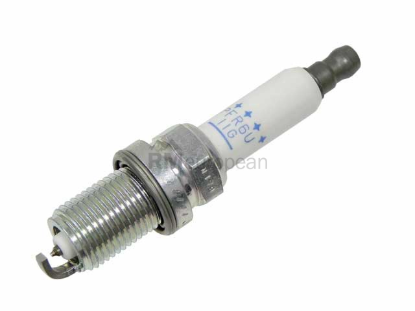 VW-Audi Spark Plug NGK 101905611