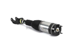 Mercedes Air Suspension Strut Arnott Industries 1663204966