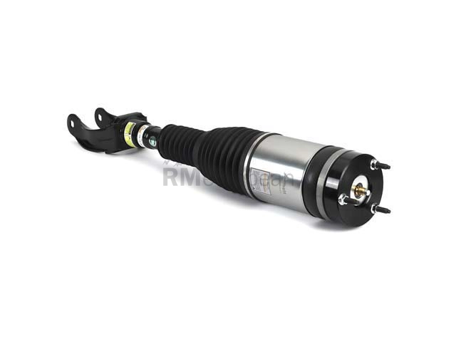 Mercedes Air Suspension Strut Arnott Industries 1663204966