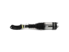Mercedes Air Suspension Strut Arnott Industries 1663204966