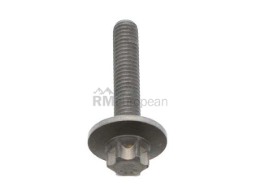 Mercedes Transmission Pan Bolt Genuine Mercedes 0029909503