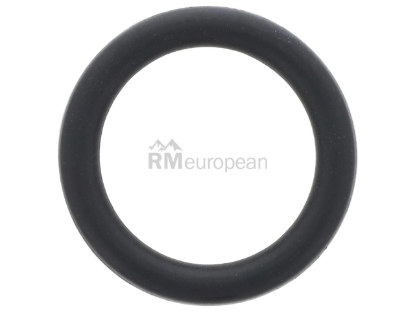 Porsche O-Ring German 99970738840