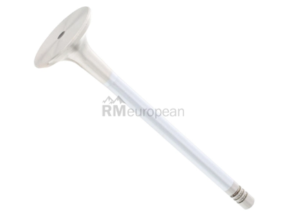 VW-Audi Exhaust Valve Mahle 06D109611L