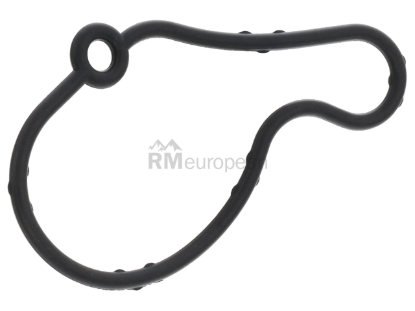 VW-Audi Vacuum Pump Gasket Elring Klinger 038145345