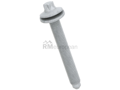 BMW Torx Head Bolt Genuine BMW 31106769907