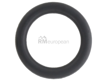 Porsche O-Ring Genuine Porsche 99970761240