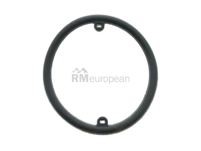 VW-Audi Engine Oil Cooler Seal Victor Reinz 038117070A