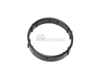 Jaguar O-Ring Eurospare C2C11477010