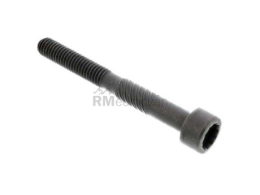 VW-Audi Camshaft Cap Bolt febi bilstein 038103714G