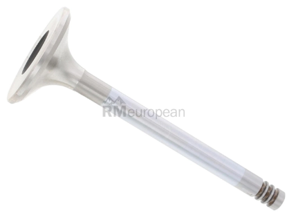 BMW Exhaust Valve TRW 11341251063