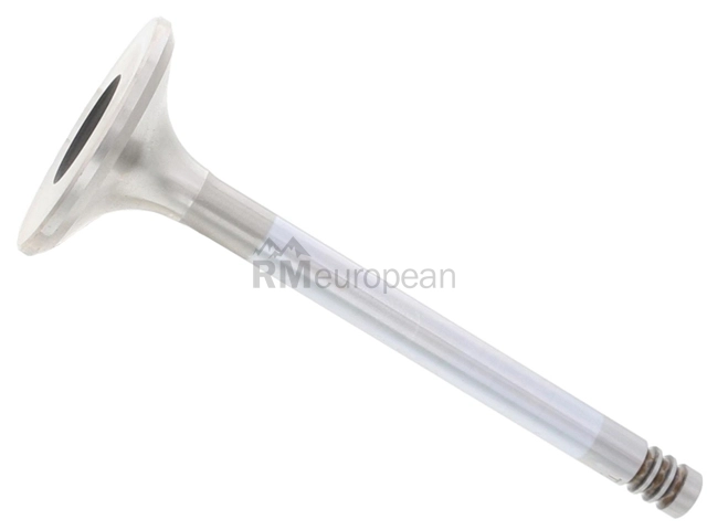BMW Exhaust Valve TRW 11341251063