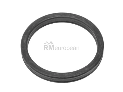 VW-Audi Thermostat Seal Victor Reinz WHT005190