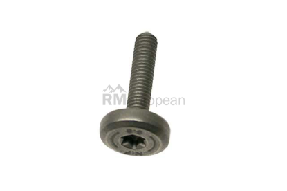 Porsche Transmission Pan Bolt Genuine Porsche 97032180900