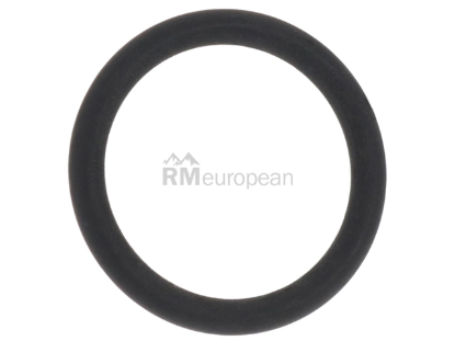 Porsche O-Ring Genuine Porsche 99970749940