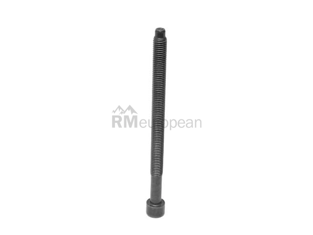 VW-Audi Cylinder Head Bolt Victor Reinz 038103384