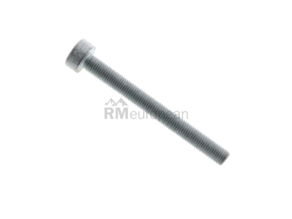 Porsche Brake Caliper Bolt Genuine Porsche PAF911837
