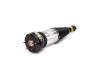 Jaguar Shock Absorber Arnott Industries AS2891