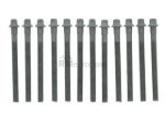 BMW Cylinder Head Bolt Set Elring Klinger 11127838831